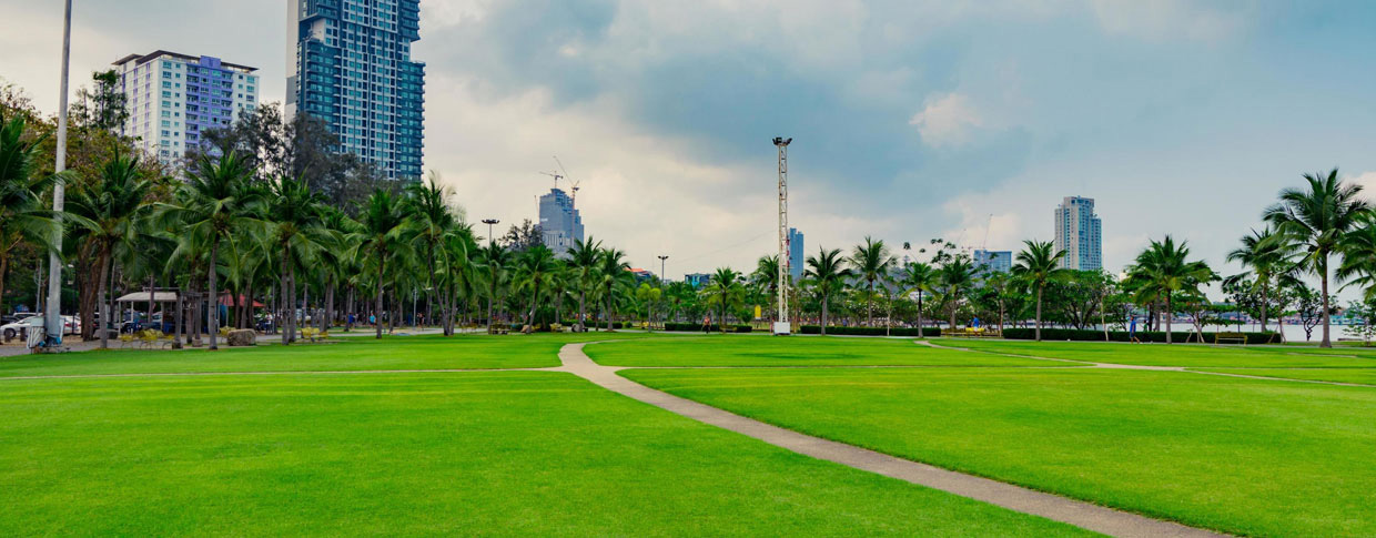 Green Belt in Dholera Smart City