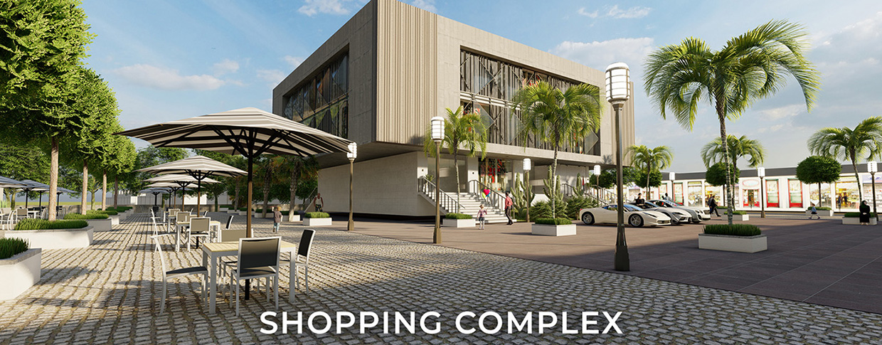 Sustainable Urban Development in Dholera