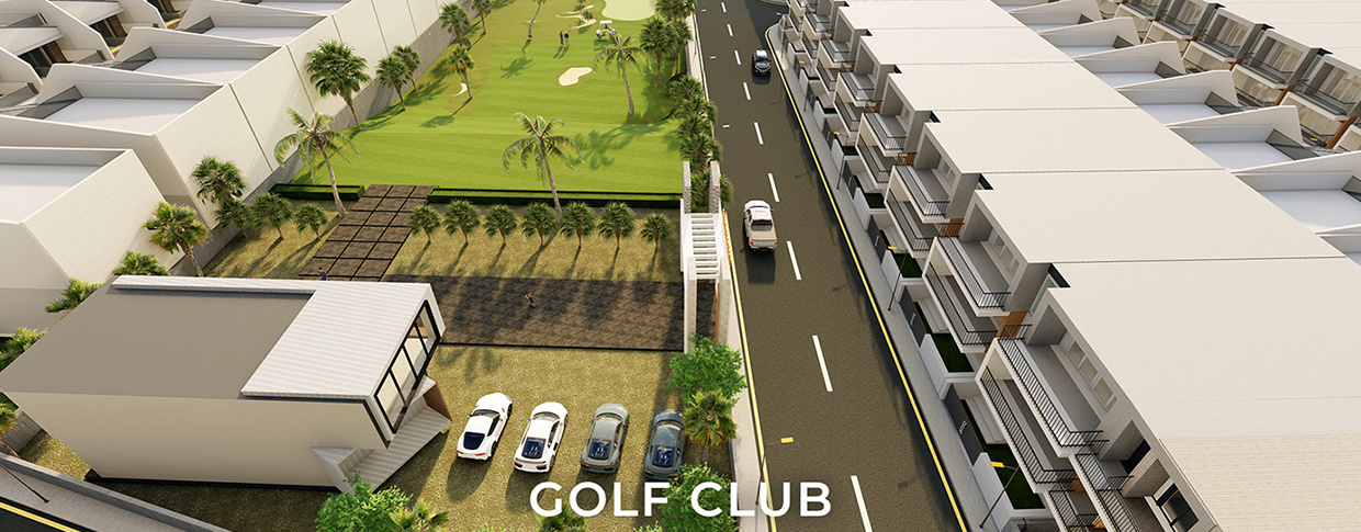 Sustainable Urban Development in Dholera