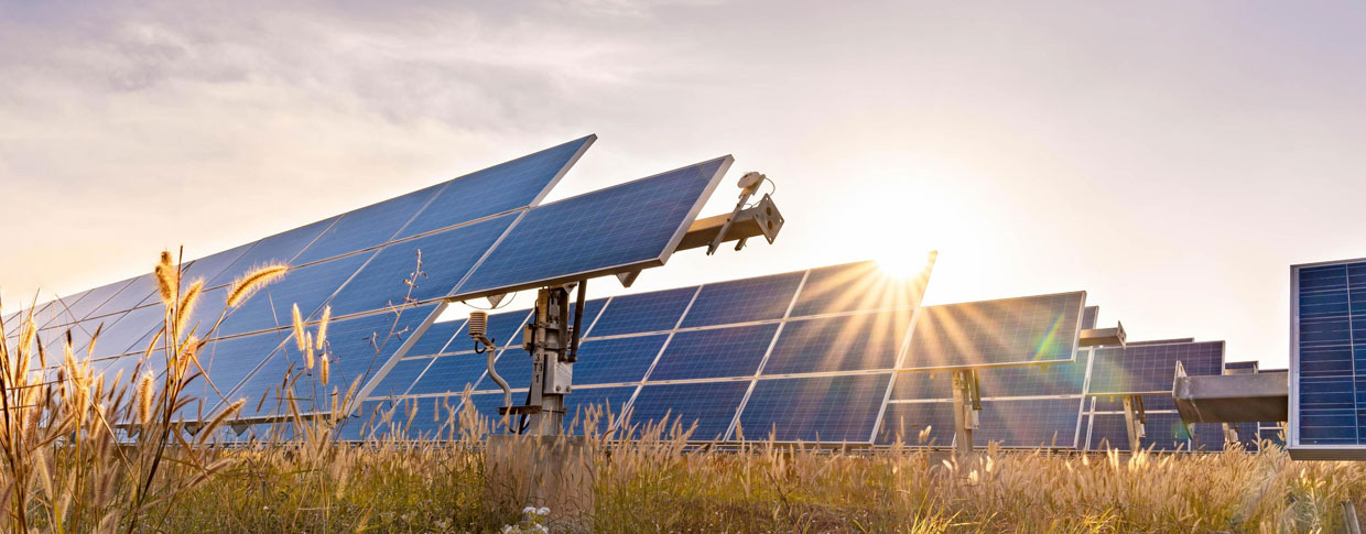 The Genesis of Dholera Smart City