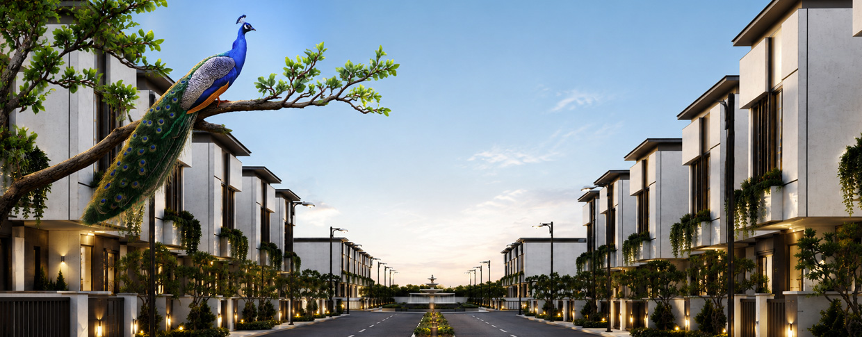Buy Plot in Dholera | Complete Investment Guide