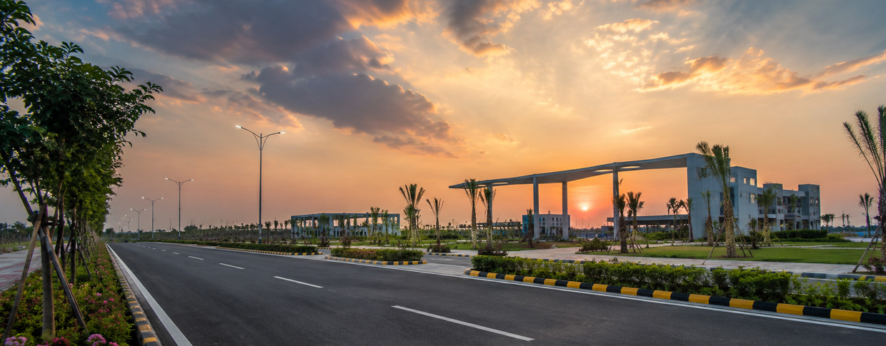bulk land in Dholera