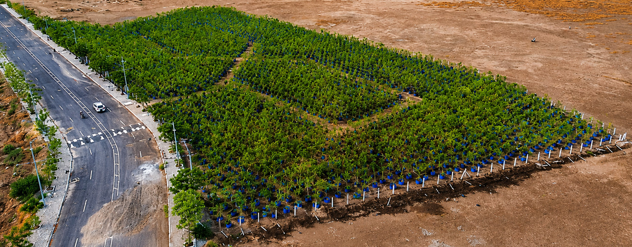 Dholera climate change