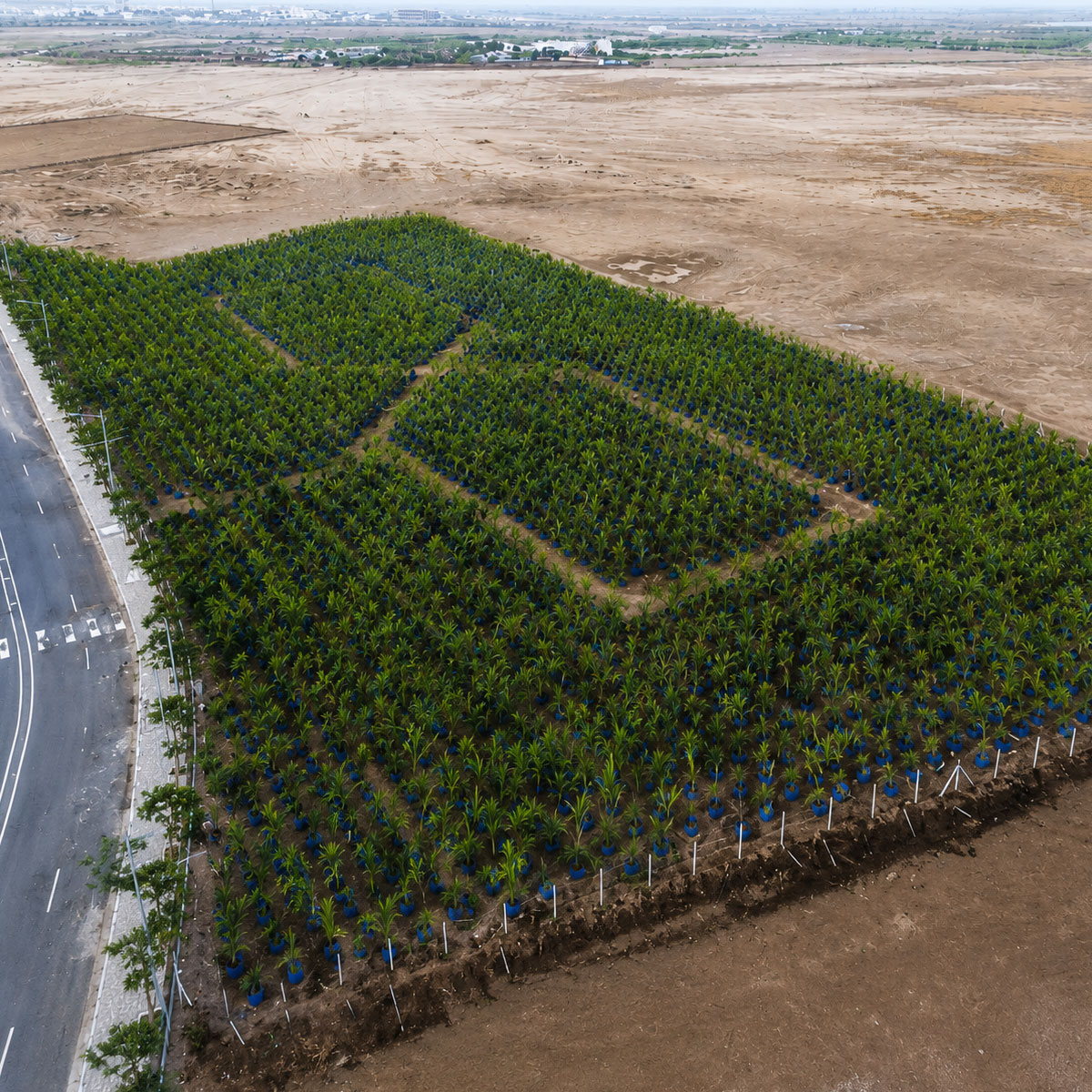 Dholera Agriculture Zone
