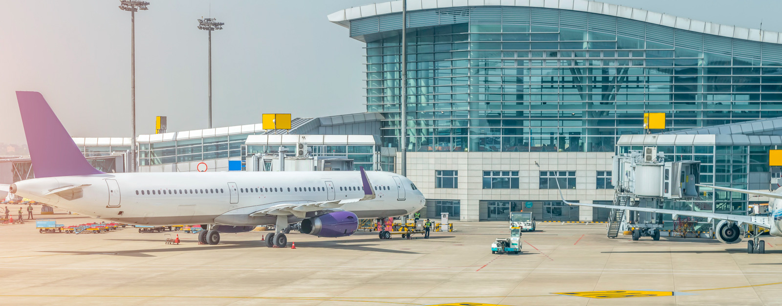 Dholera airport cargo